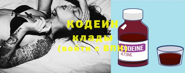 индика Бородино
