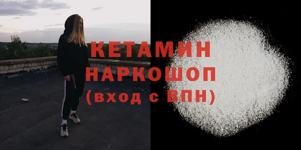 индика Бородино