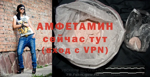 индика Бородино