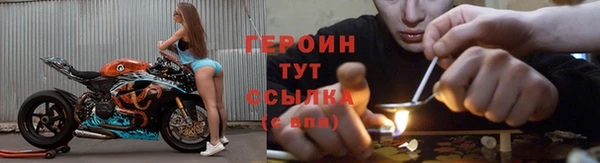 индика Бородино