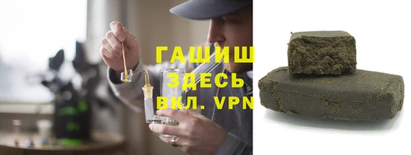 индика Бородино
