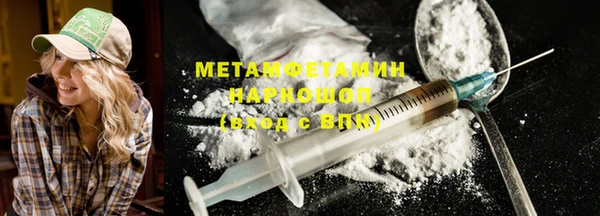 индика Бородино