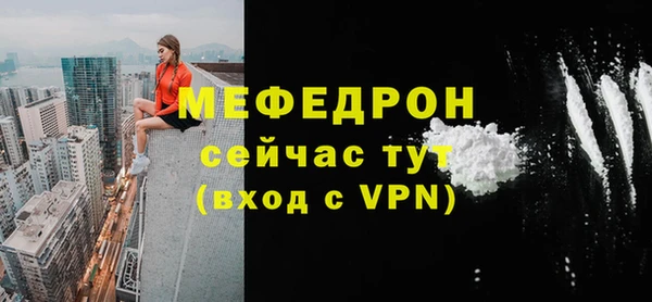 индика Бородино