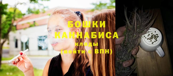 соль курить ск Белокуриха